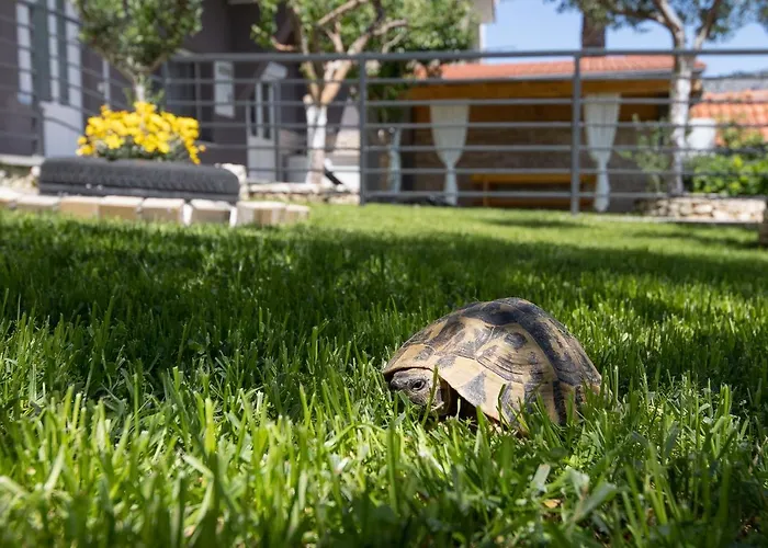 Appartement Pandza - Omis, Private Pool Close To The